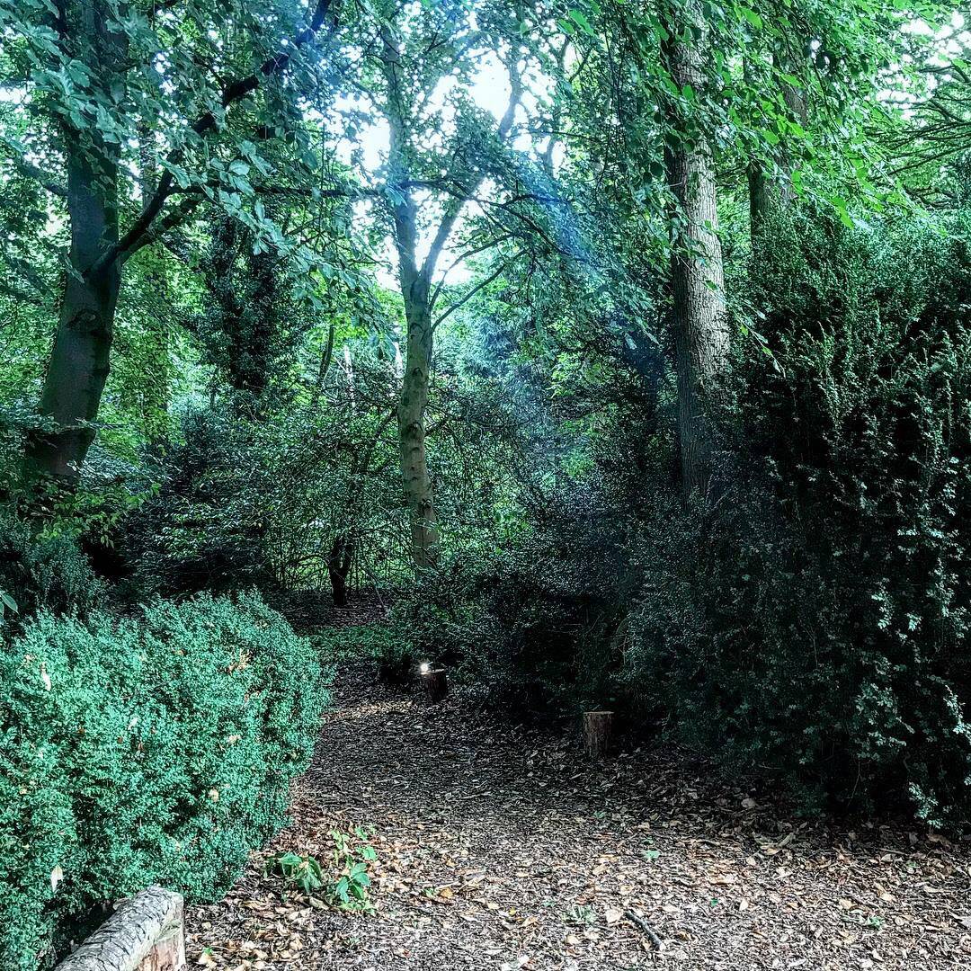 Woodland Weddings at Hazelwood Castle 