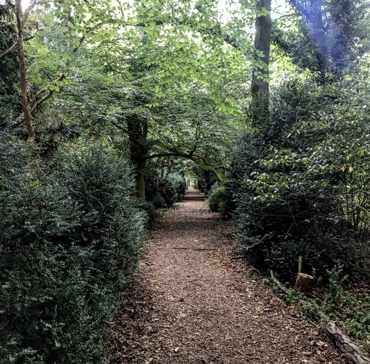 Woodland Weddings at Hazelwood Castle 